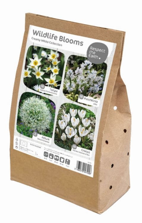 Blumenzwiebel Mix - Wildlife Blooms - Creamy White Collection