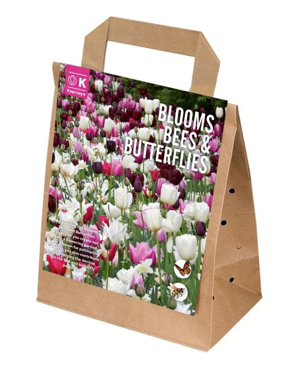 Blumenzwiebel Mix - Blooms, Bees & Butterflies - Pink Shades