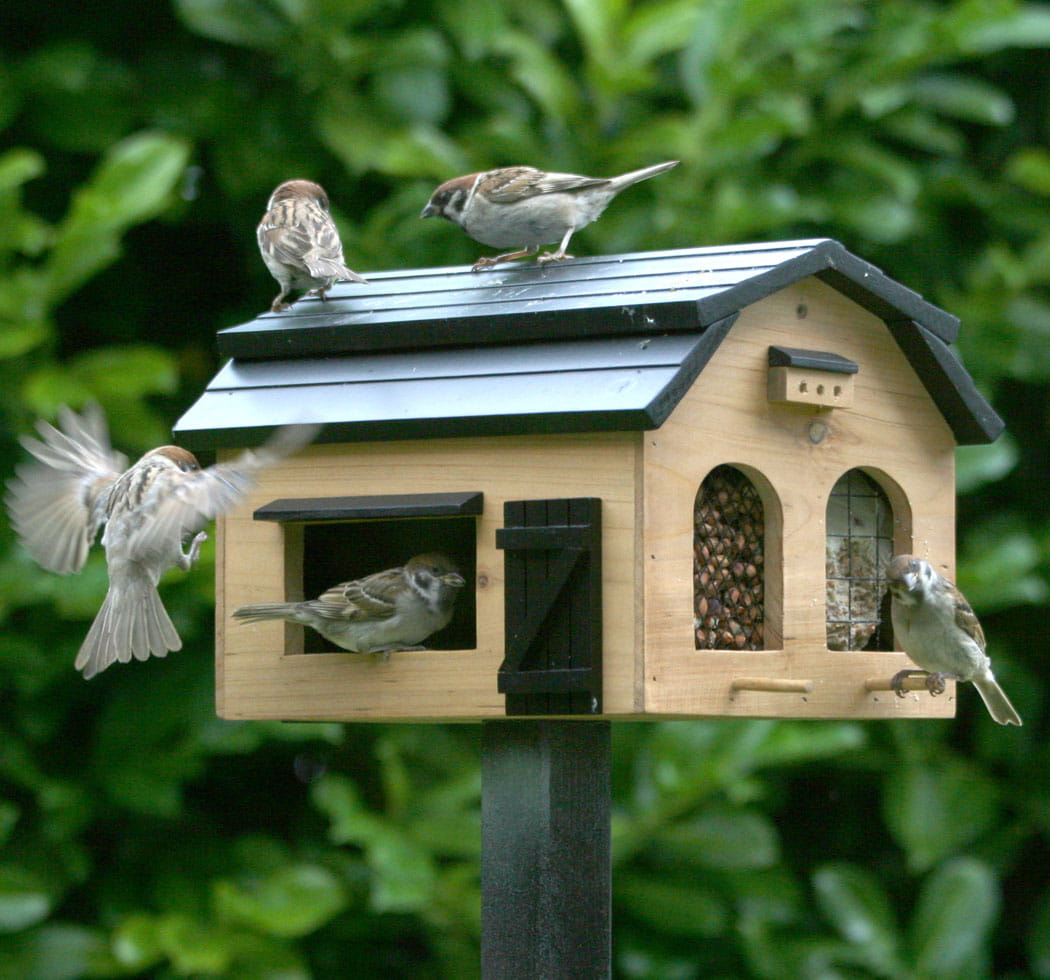 WILDLIFE Futterscheune/Futterhaus natur Ansicht 1