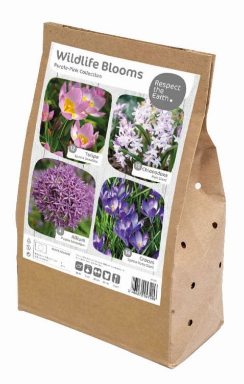 Blumenzwiebel Mix - Wildlife Blooms - Purple-Pink Collection