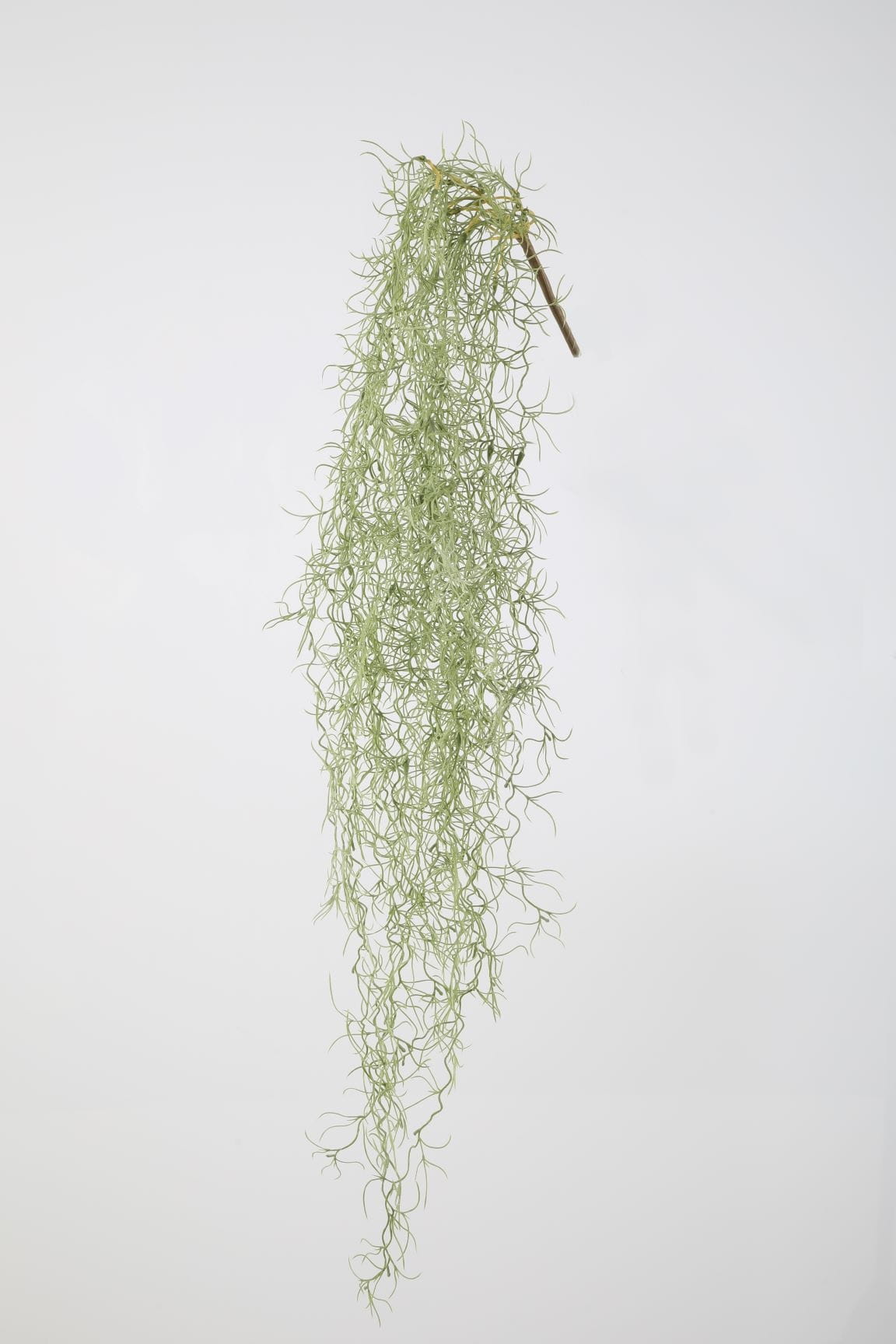 Colours & Green Seidenblume Hanging Spanish Moss