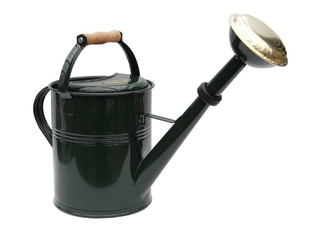 Gießkanne Garten von Ehren, 9 Liter mit Holzgriff + Messingbrause grün