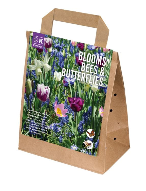 Blumenzwiebel Mix - Blooms, Bees & Butterflies - Blue Shades