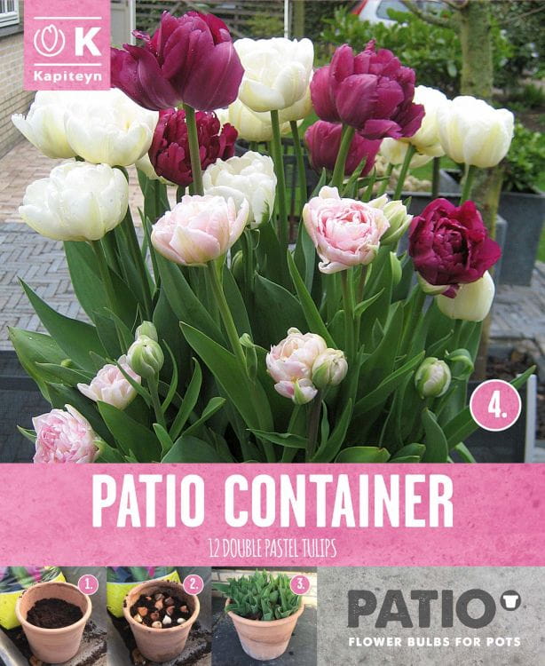 Blumenzwiebel Mix - Tulipa gefüllt rosa, violett, weiß 12er Packung