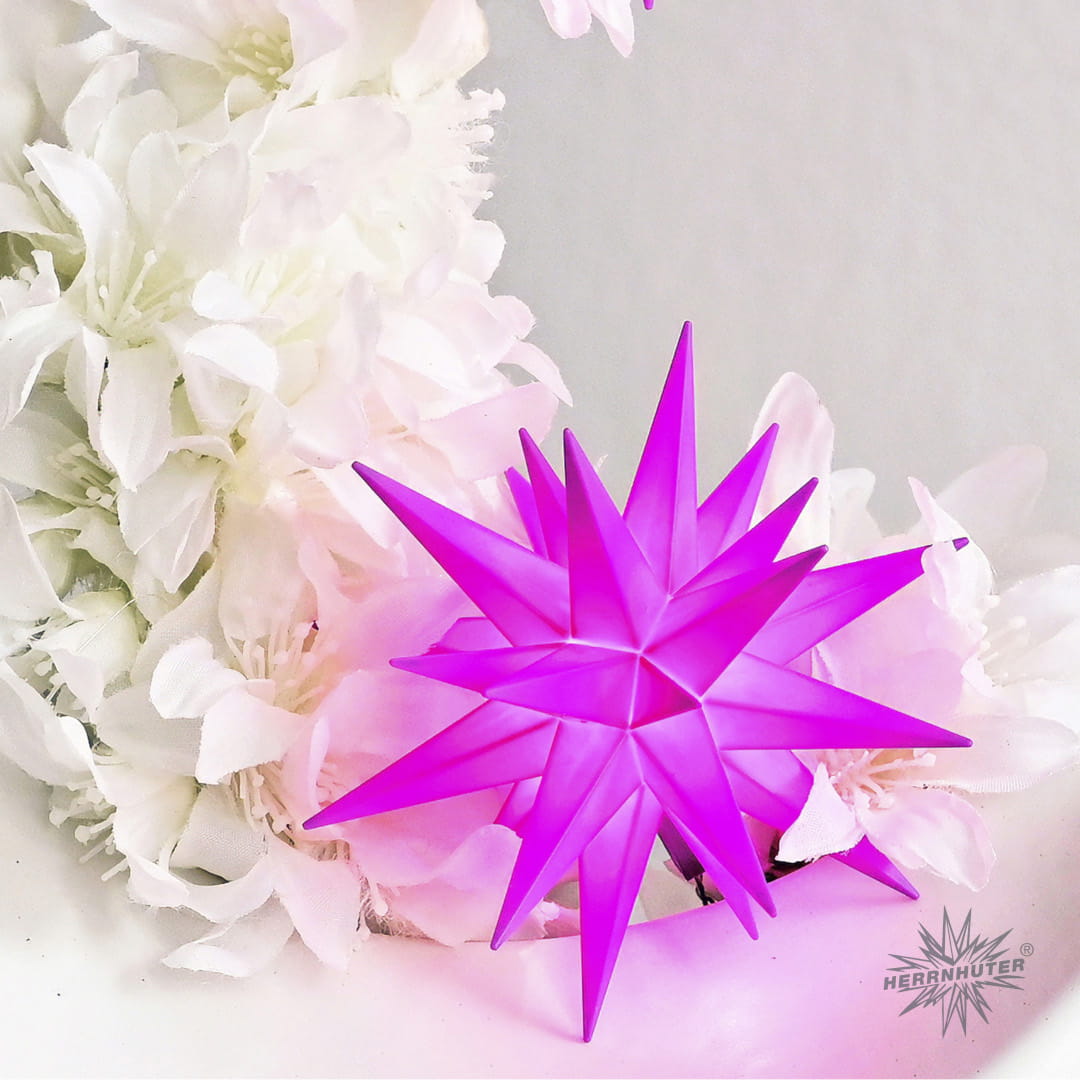 Herrnhuter Sonderedition 2025 Miniaturstern, violett, D8 cm
