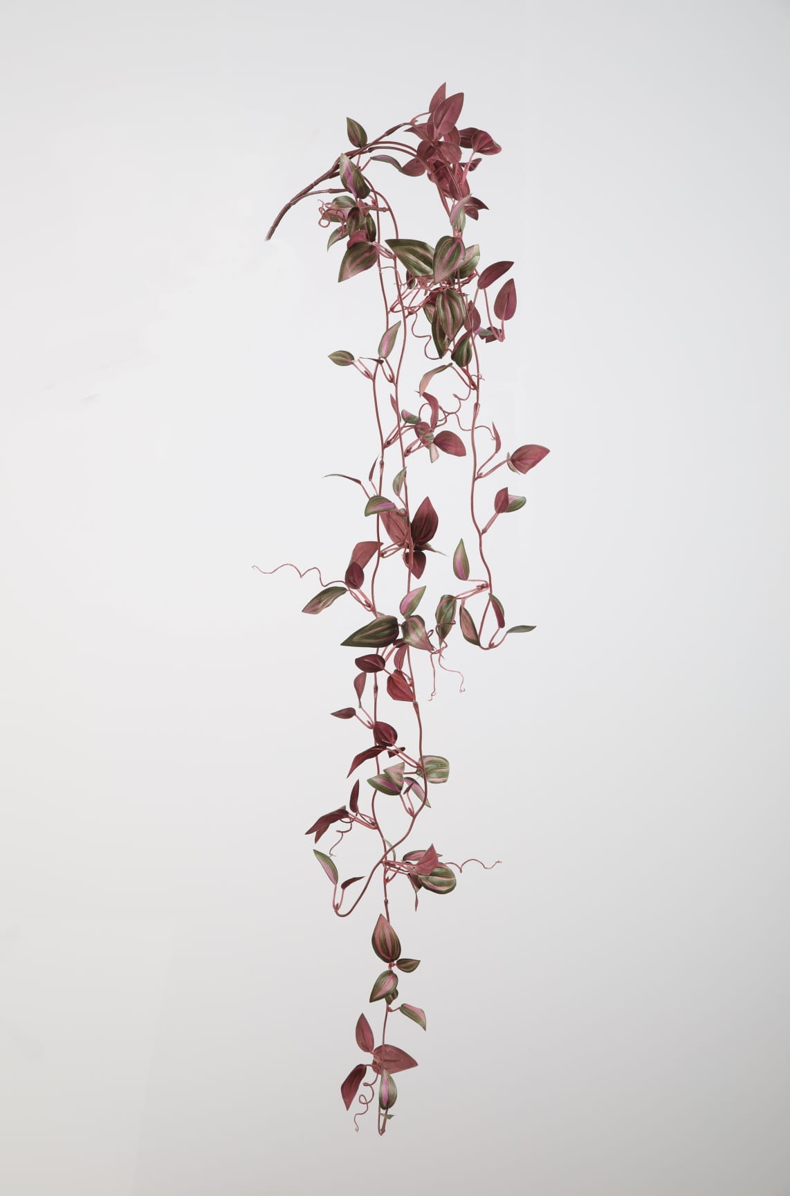 Colours & Green Seidenblume WANDERING JEW VINE grün/lila 104cm Ansicht 1