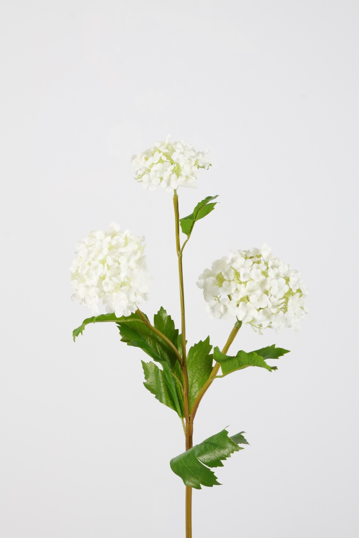 Colours & Green Seidenblume SNOWBALL SPRAY weiß 61cm Ansicht 1
