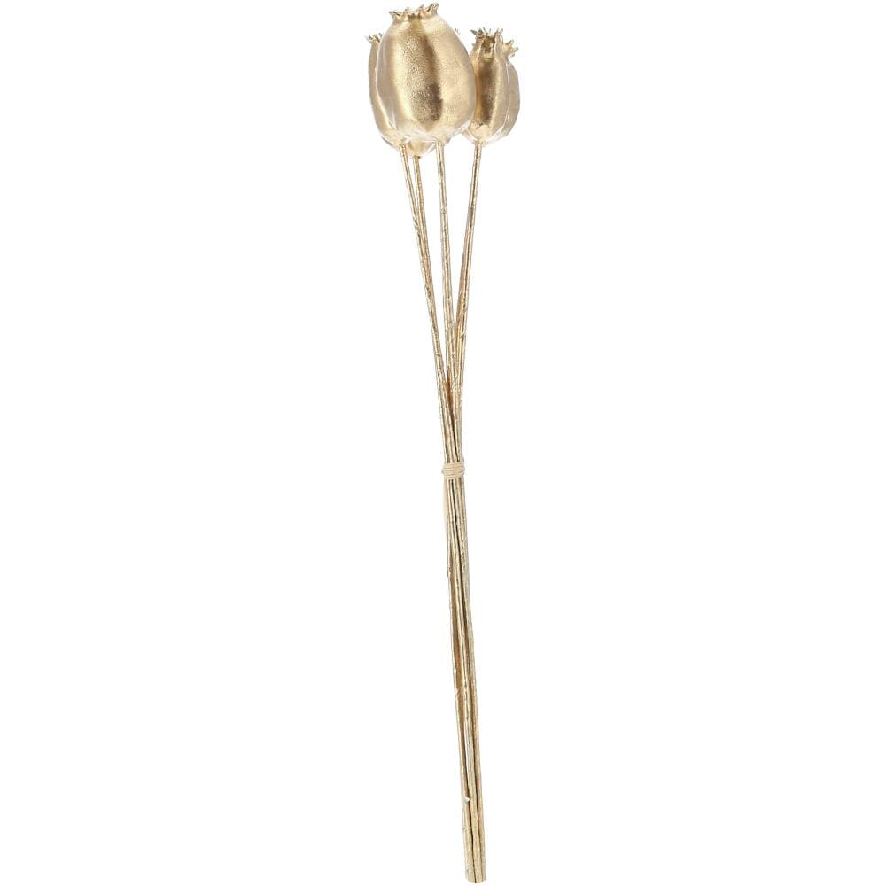 Vosteen MANTUA Mohn Kapsel gold L41 cm Ansicht 1