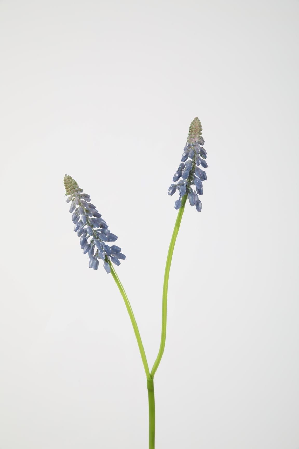 Colours & Green Seidenblume DELPHINIUM blau 89cm Ansicht 1