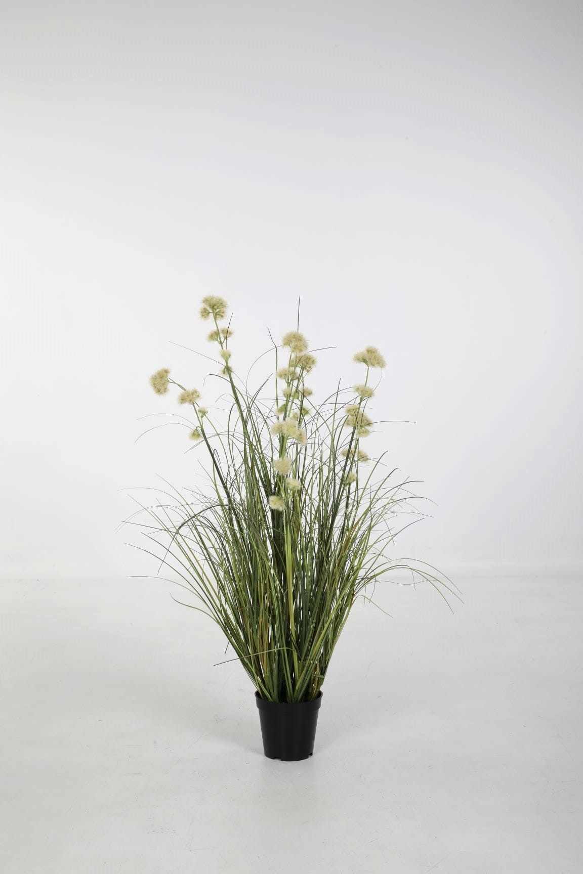 Colours & Green Seidenblume CURLY GRASS w/ Allium