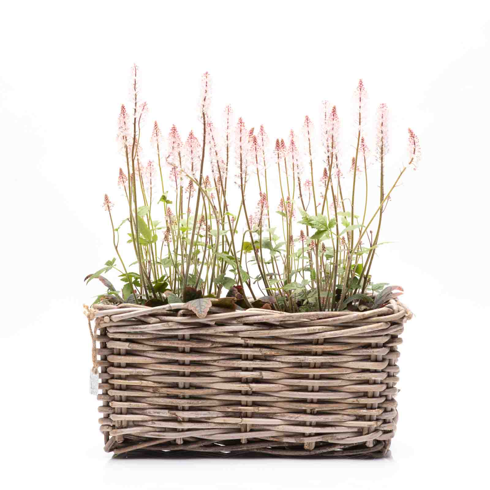 Van der Leeden Pflanzkorb PLANTER rechteckig, grau