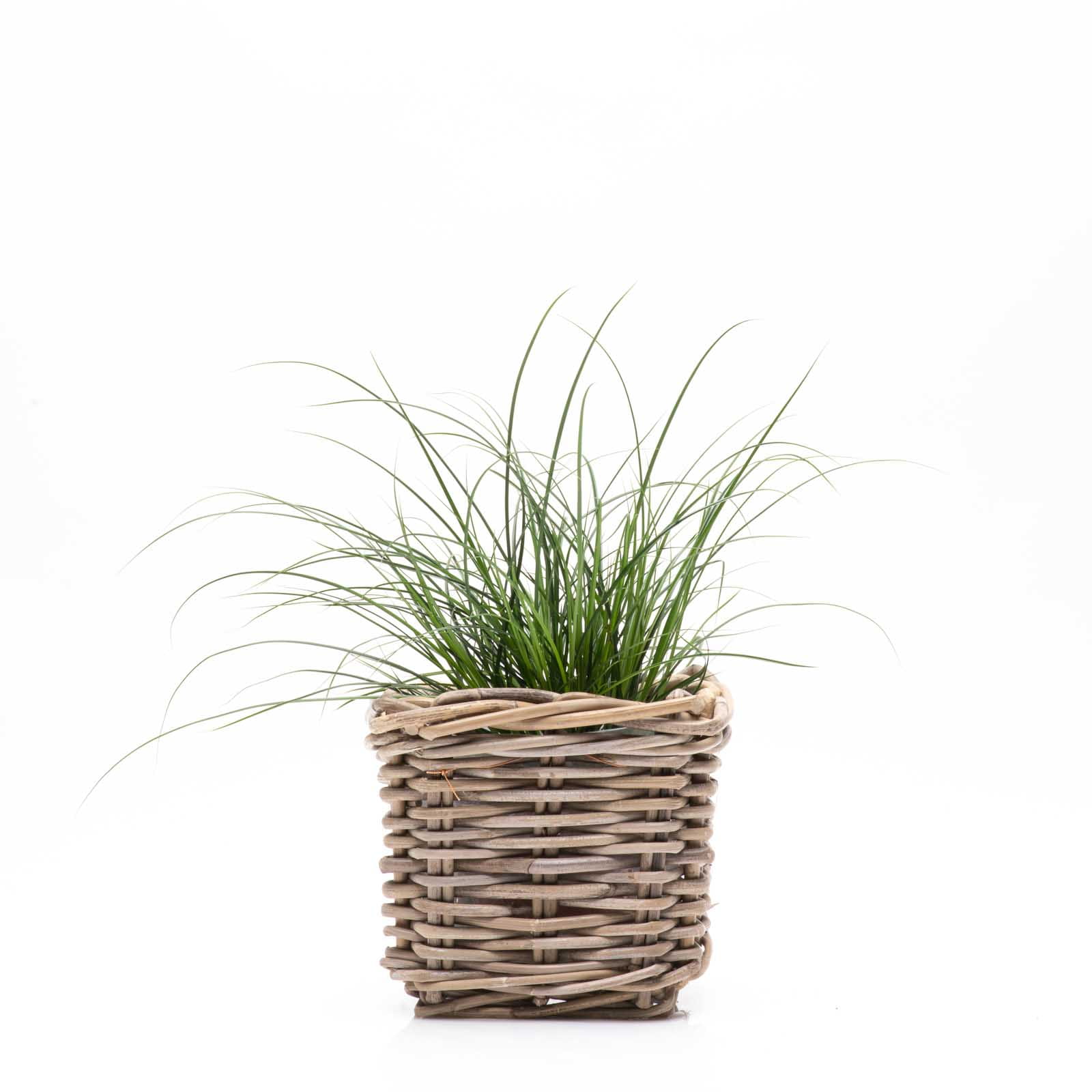 Van der Leeden Pflanzkorb BAK quadratisch, antik grey B21 T21 H19 cm Ansicht 4