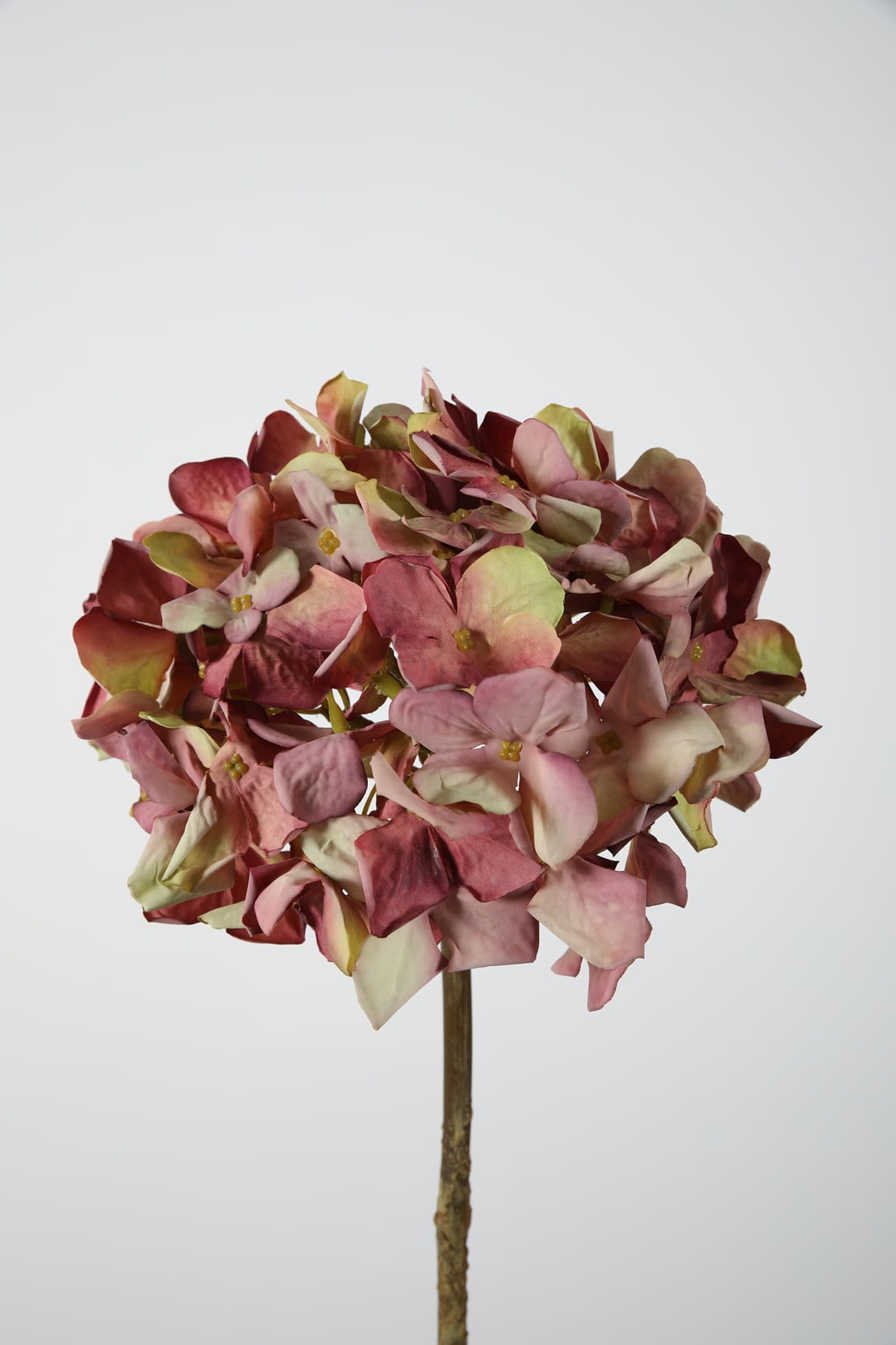 Colours & Green Seidenblume HYDRANGEA lila H62 cm Ansicht 1