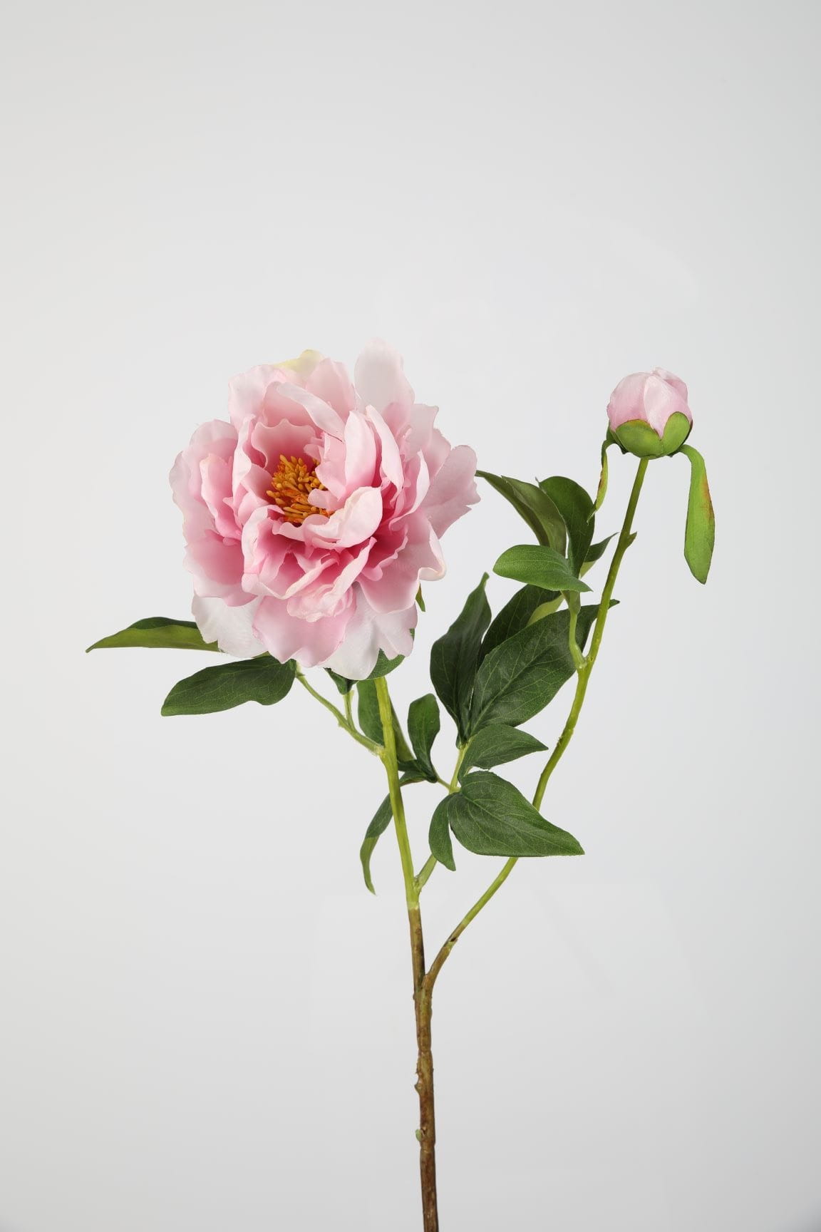 Colours & Green Seidenblume PEONY H73 cm Ansicht 1