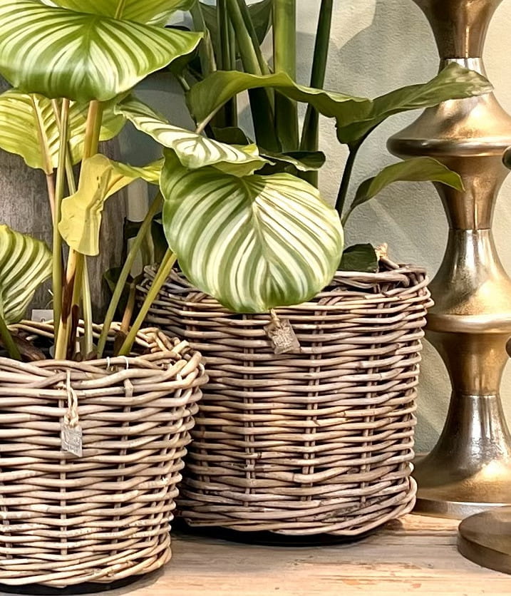 Pflanzgefäße online kaufen
Pflanzgefäße