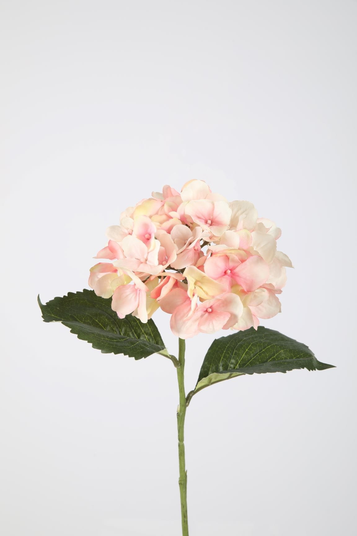 Colours & Green Seidenblume HYDRANGEA Stem/Spray, cream rose