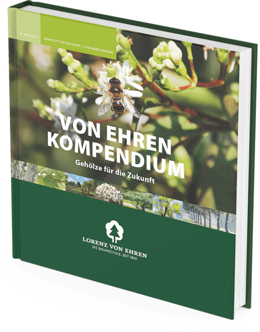 VON EHREN KOMPENDIUM - Lorenz von Ehren GmbH & Co. KG