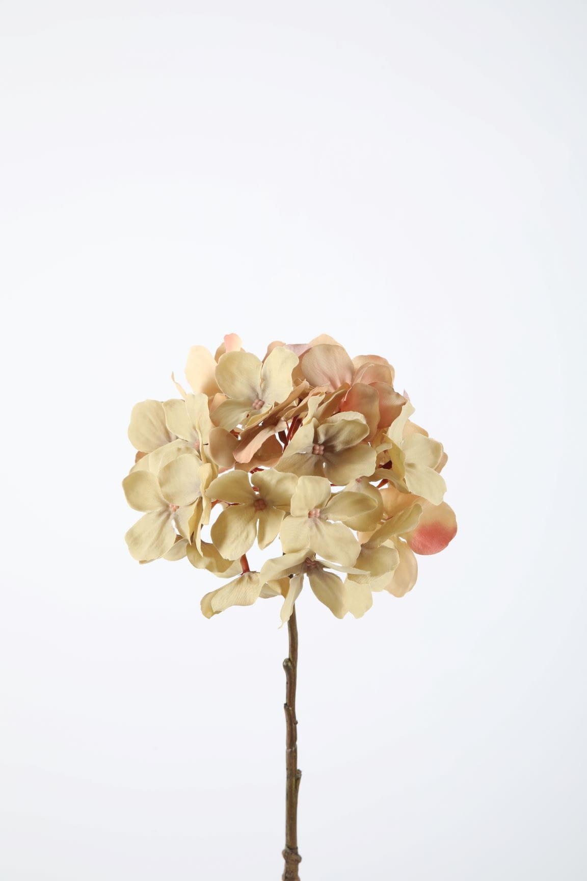 Colours & Green Seidenblume HYDRANGEA Stem/Spray, beige