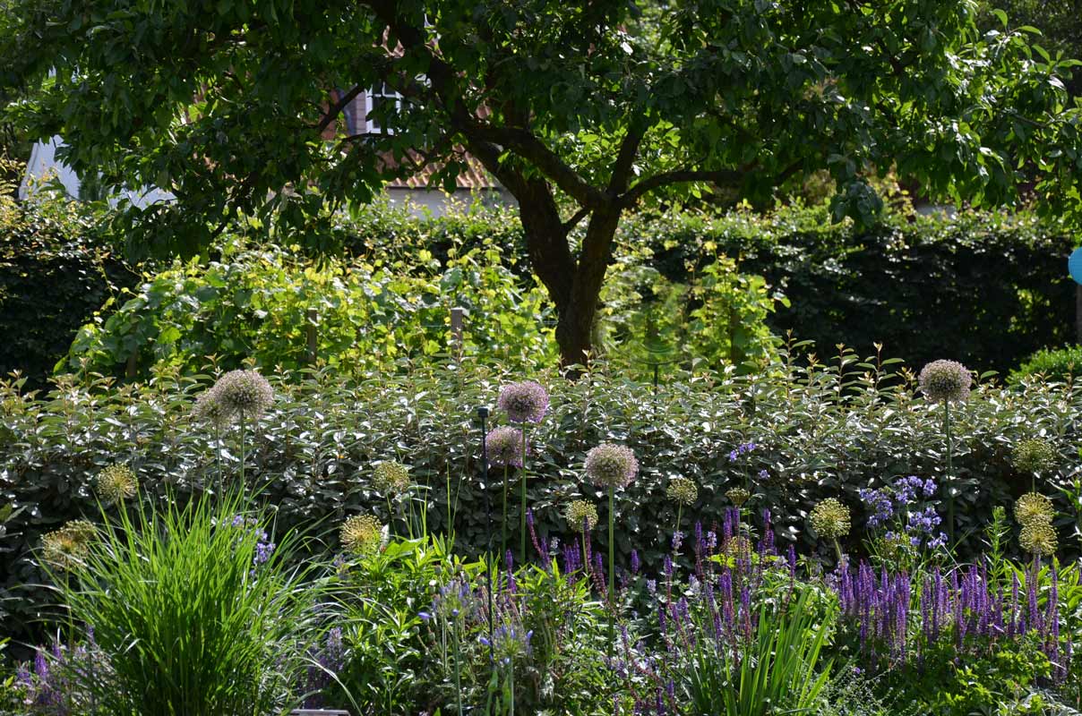 Hamburg Harburg Gartengestaltung Gartenplanung