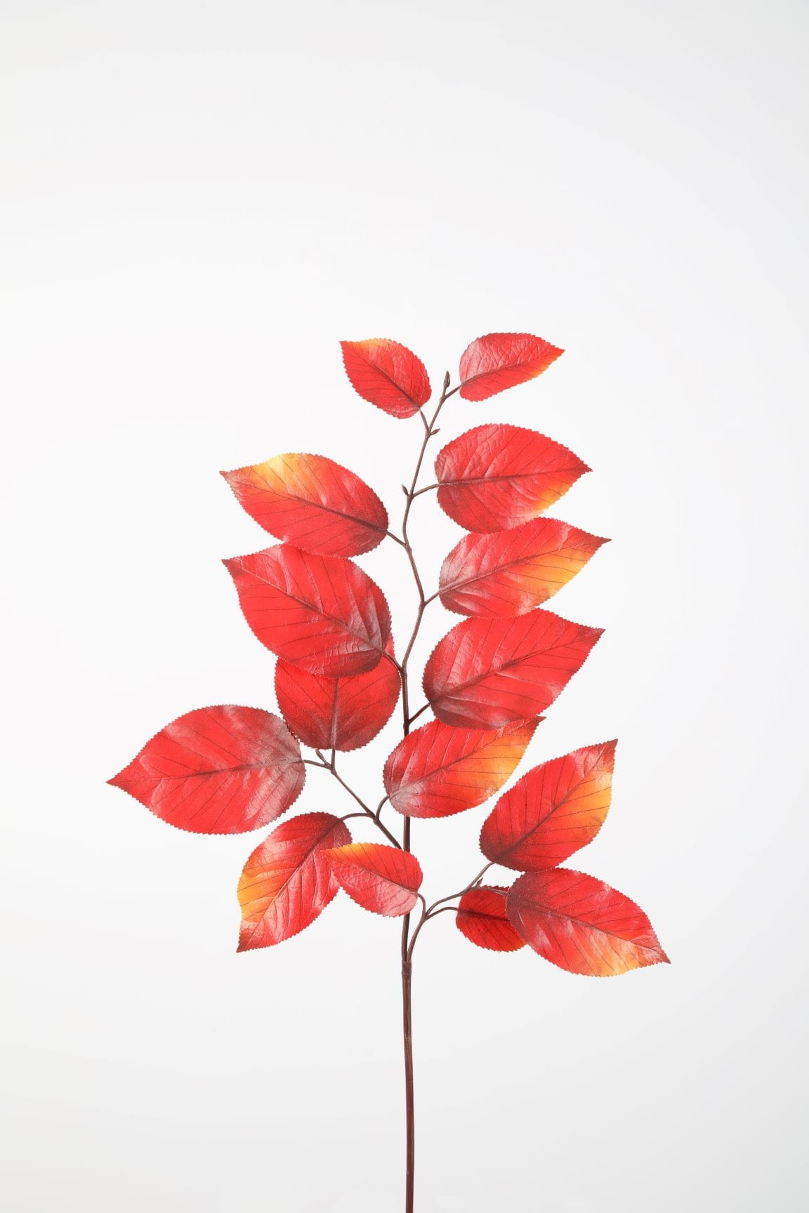Colours & Green Seidenblume FALL SALAL LEAF SPRAY, rot