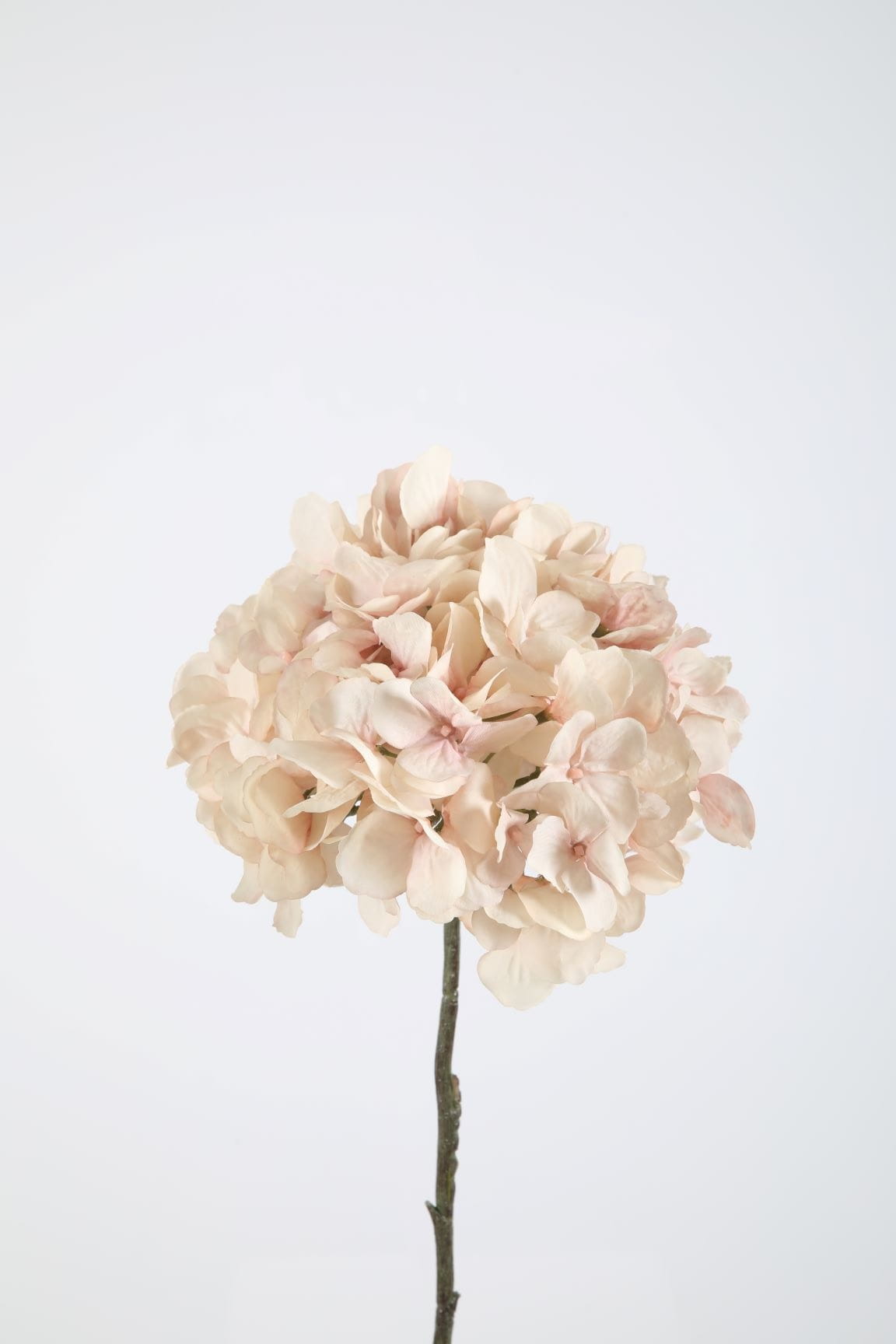 Colours & Green Seidenblume HYDRANGEA SINGLE STEM old pink 63cm Ansicht 1