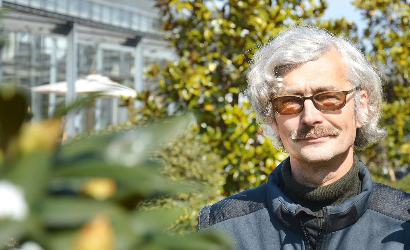 Pflanzen online kaufen Ihr Pflanzenversand Garten von Ehren